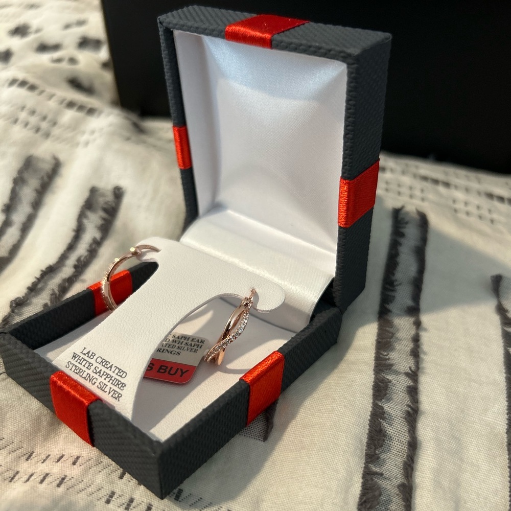 NWT Earrings